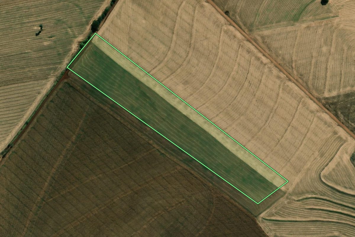 Imagem de satélite do imóvel rural em Bandeirantes (PR), com o contorno declarado no CAR desenhado por cima.