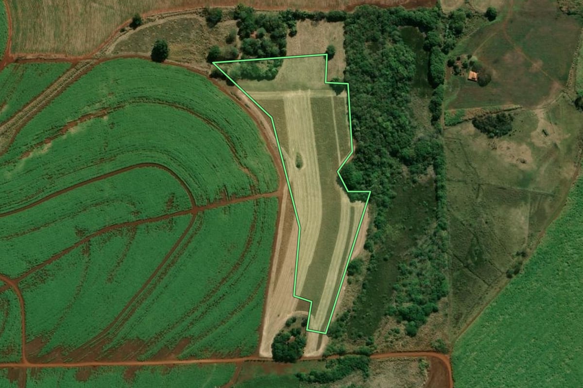 Imagem de satélite do imóvel rural em Bandeirantes (PR), com o contorno declarado no CAR desenhado por cima.