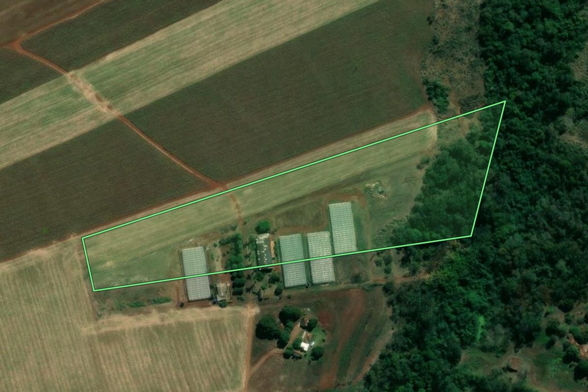 Imagem de satélite do imóvel rural em Bandeirantes (PR), com o contorno declarado no CAR desenhado por cima.