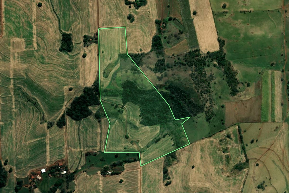 Imagem de satélite do imóvel rural em Bandeirantes (PR), com o contorno declarado no CAR desenhado por cima.