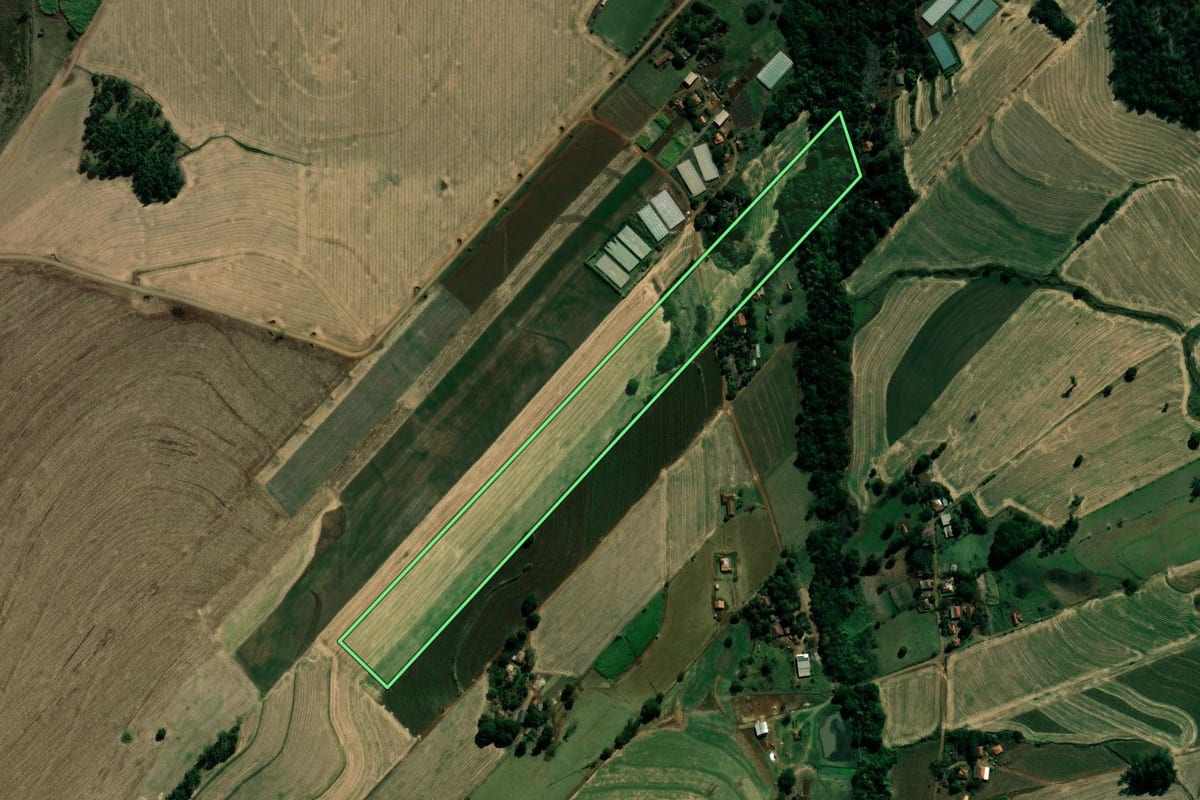 Imagem de satélite do imóvel rural em Bandeirantes (PR), com o contorno declarado no CAR desenhado por cima.