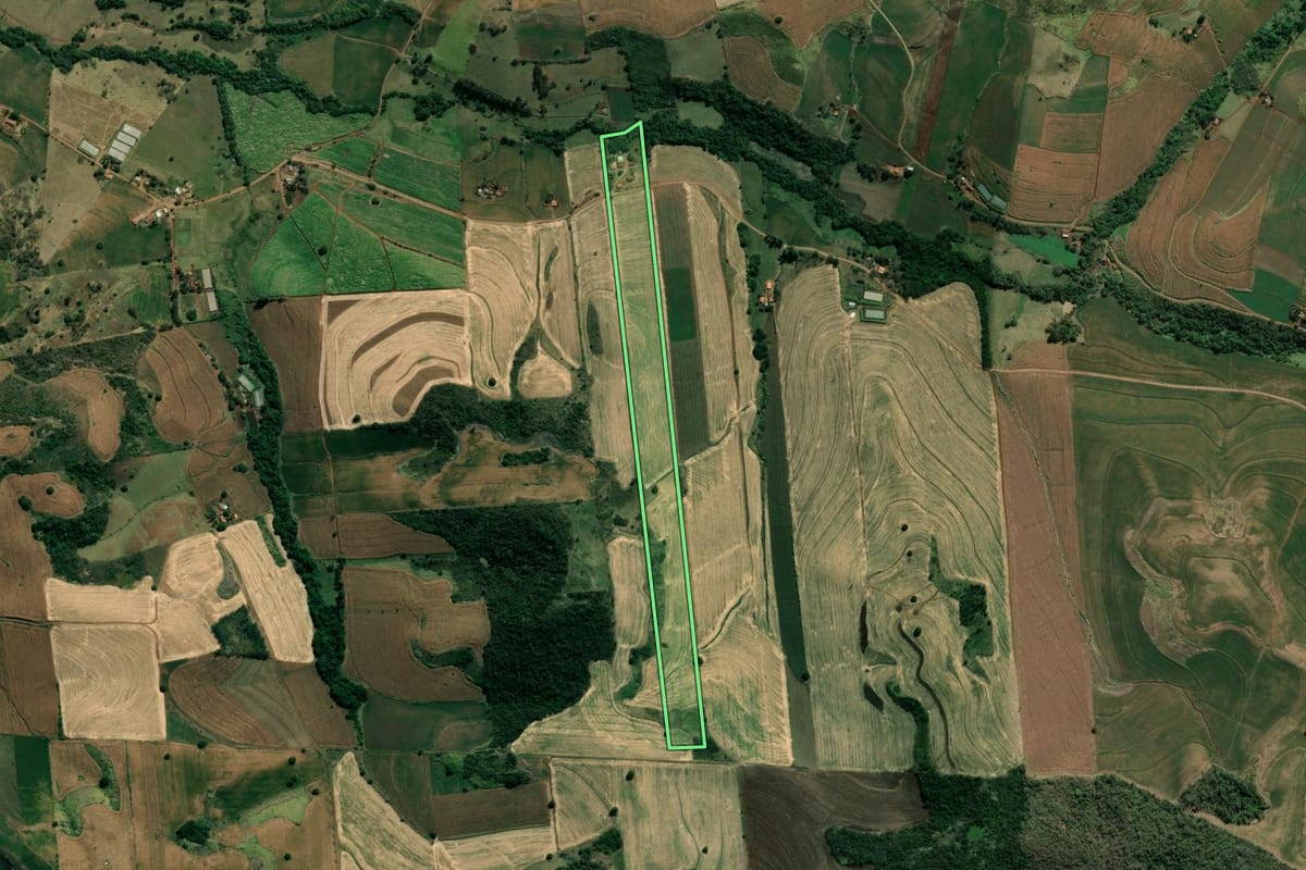 Imagem de satélite do imóvel rural em Bandeirantes (PR), com o contorno declarado no CAR desenhado por cima.