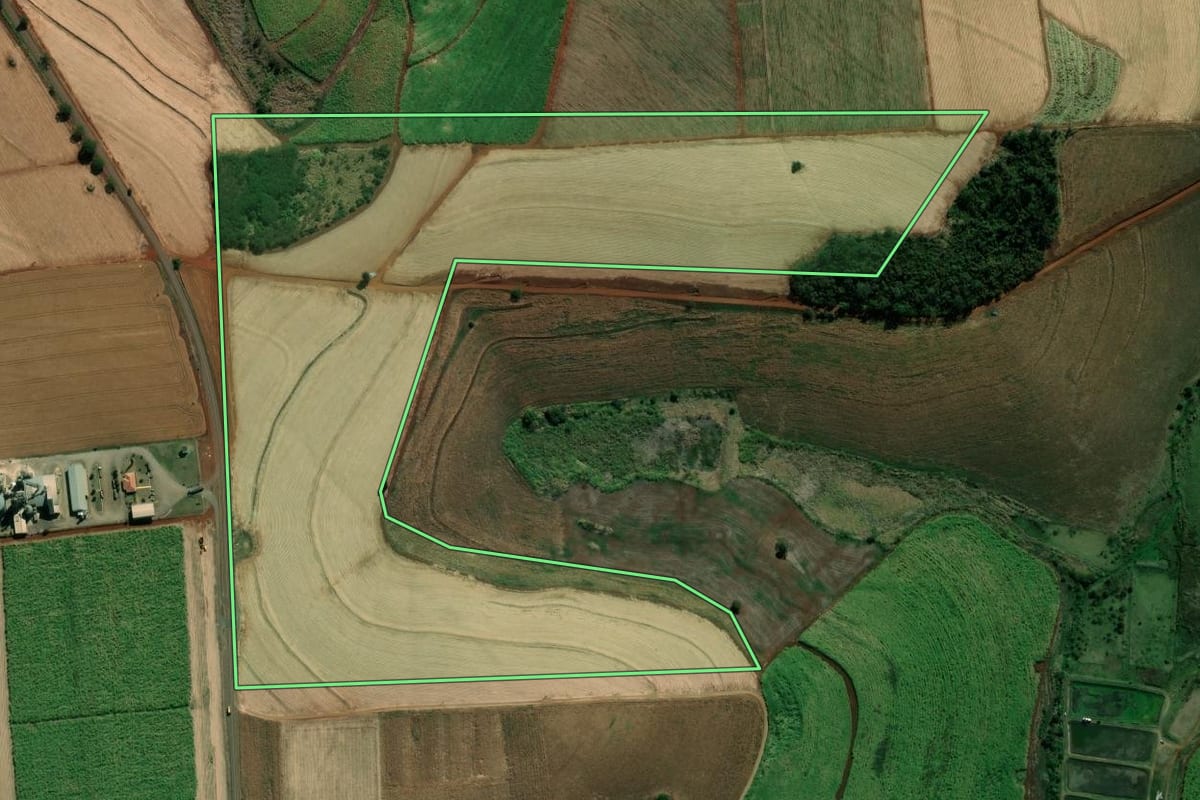 Imagem de satélite do imóvel rural em Bandeirantes (PR), com o contorno declarado no CAR desenhado por cima.