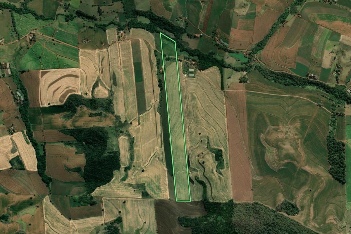 Imagem de satélite do imóvel rural em Bandeirantes (PR), com o contorno declarado no CAR desenhado por cima.