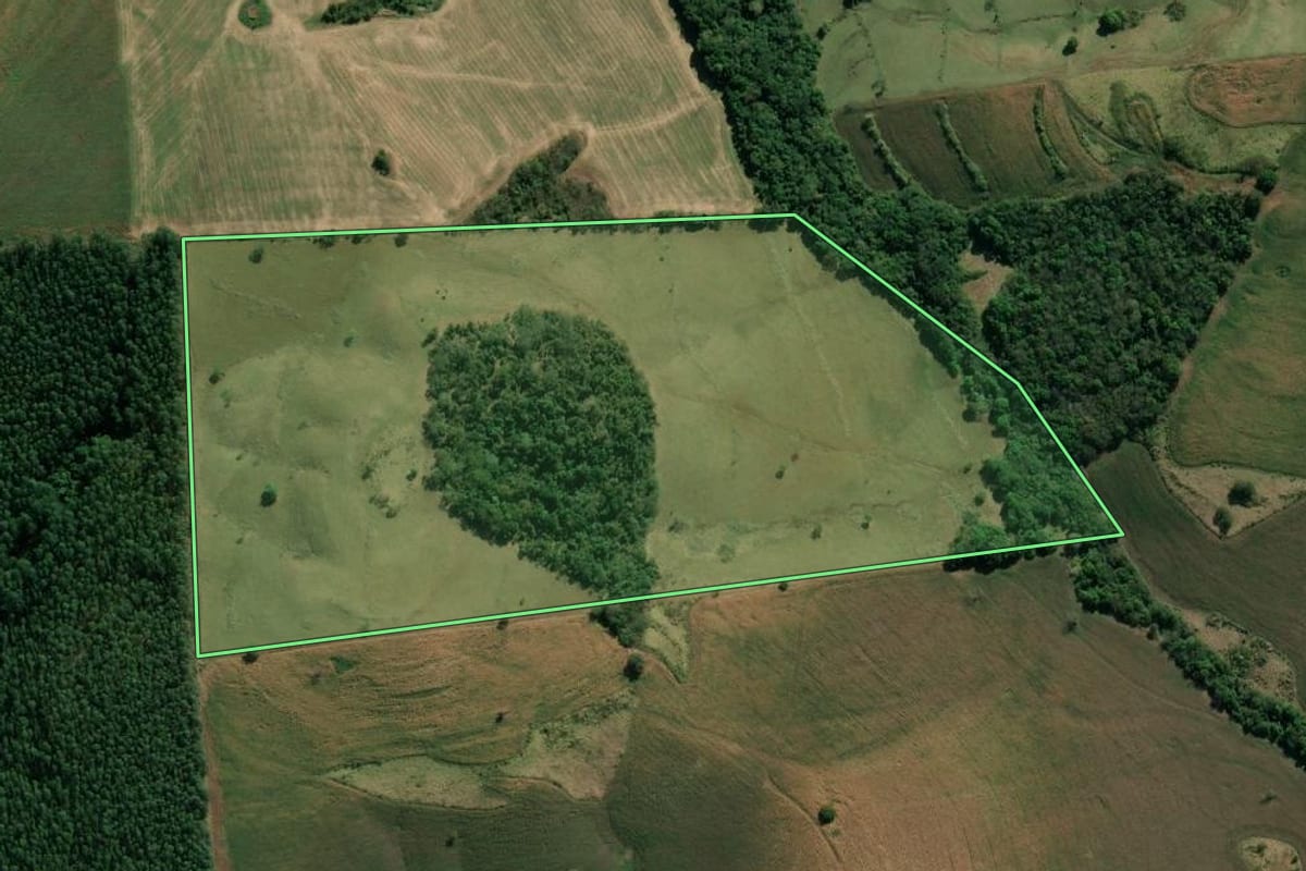 Imagem de satélite do imóvel rural em Bandeirantes (PR), com o contorno declarado no CAR desenhado por cima.
