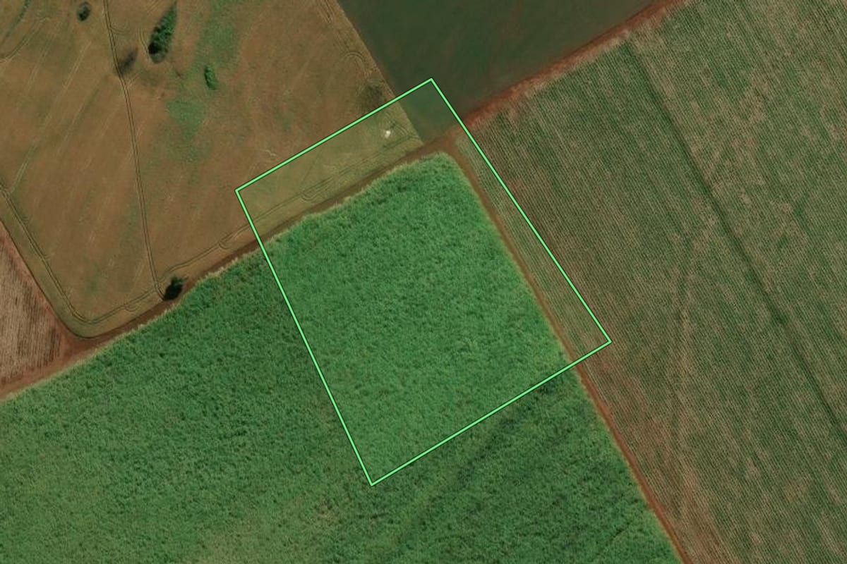 Imagem de satélite do imóvel rural em Bandeirantes (PR), com o contorno declarado no CAR desenhado por cima.