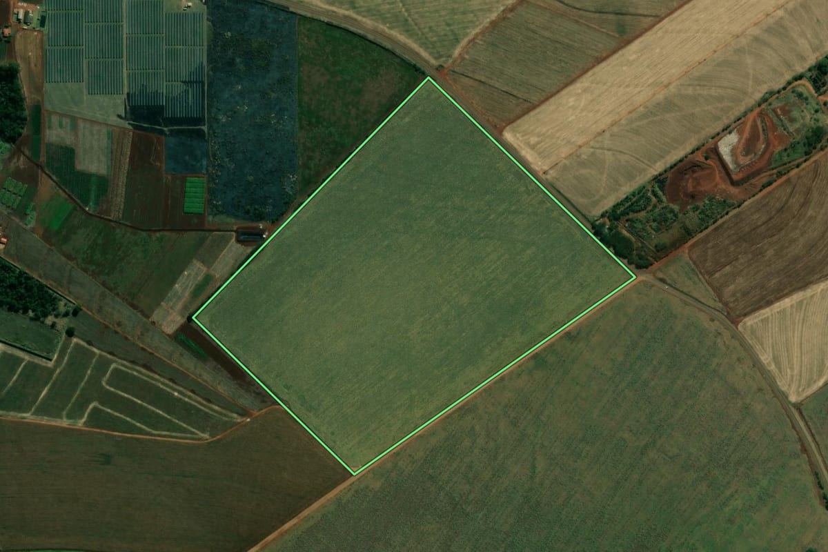 Imagem de satélite do imóvel rural em Bandeirantes (PR), com o contorno declarado no CAR desenhado por cima.