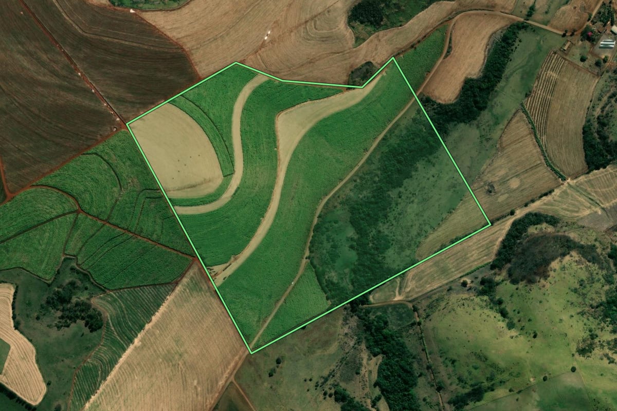 Imagem de satélite do imóvel rural em Bandeirantes (PR), com o contorno declarado no CAR desenhado por cima.