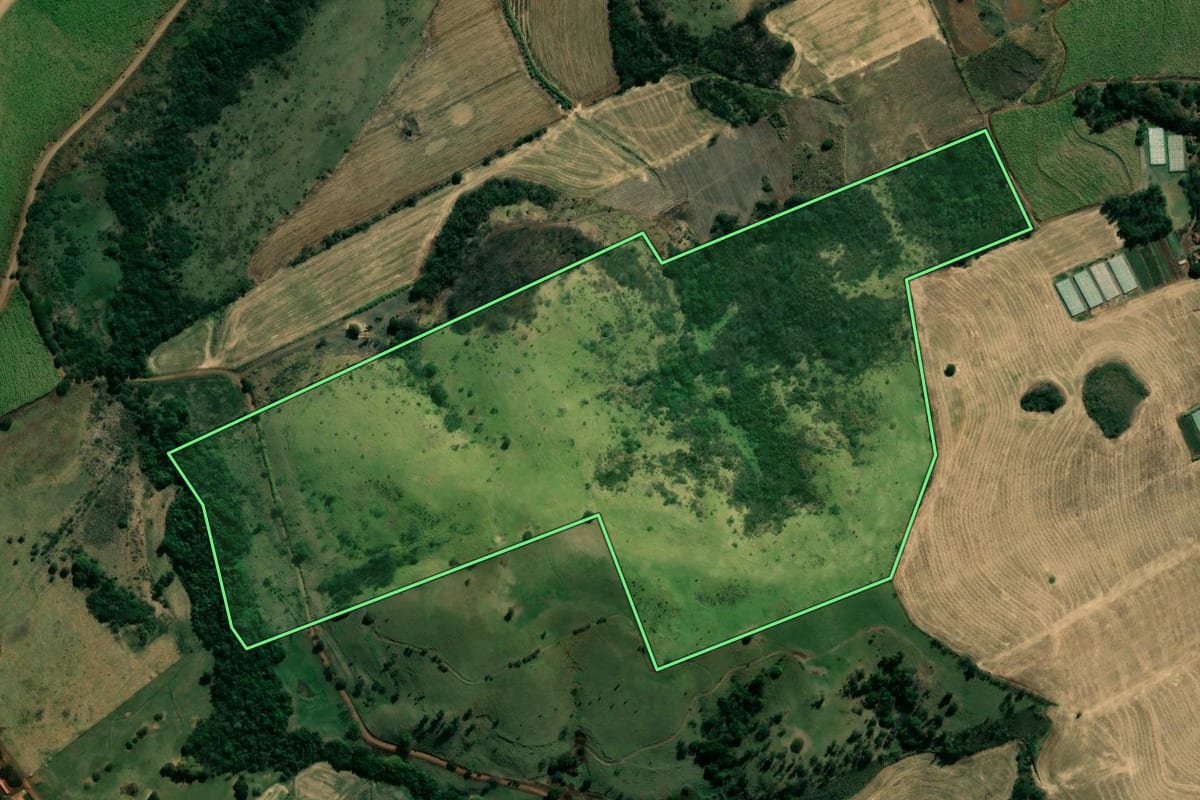 Imagem de satélite do imóvel rural em Bandeirantes (PR), com o contorno declarado no CAR desenhado por cima.