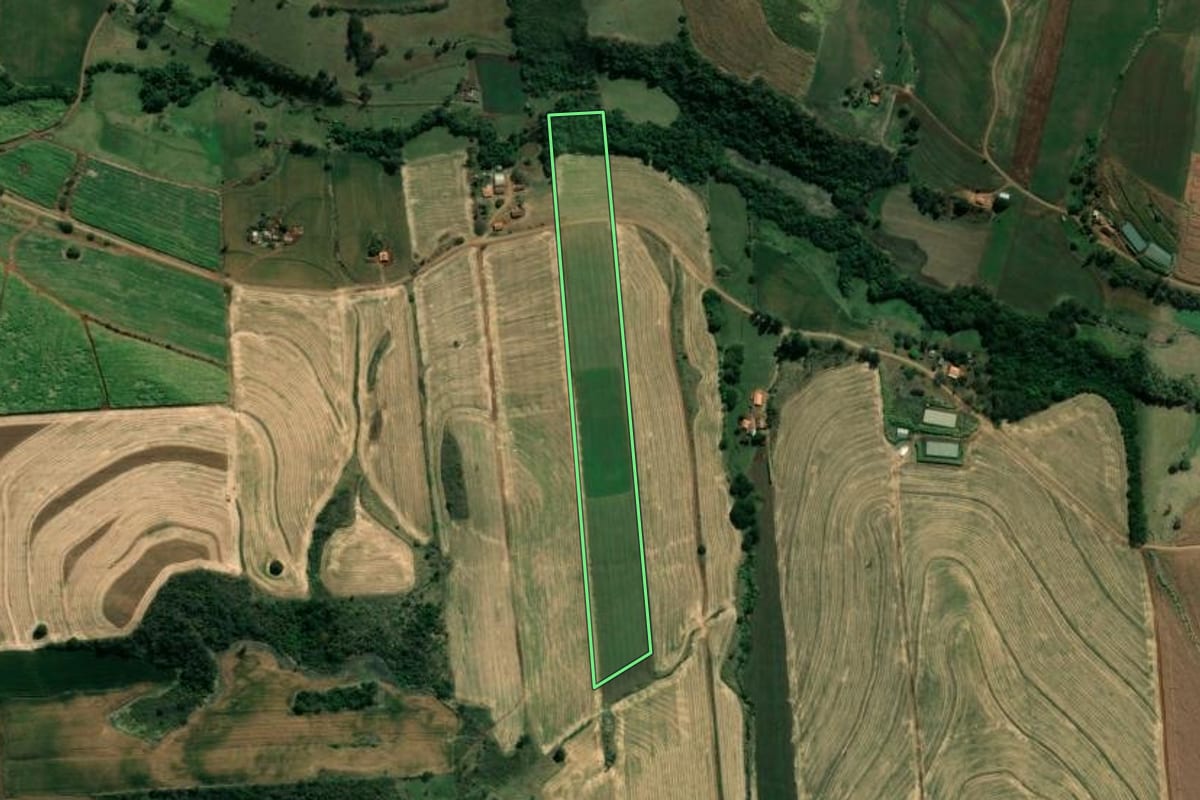 Imagem de satélite do imóvel rural em Bandeirantes (PR), com o contorno declarado no CAR desenhado por cima.
