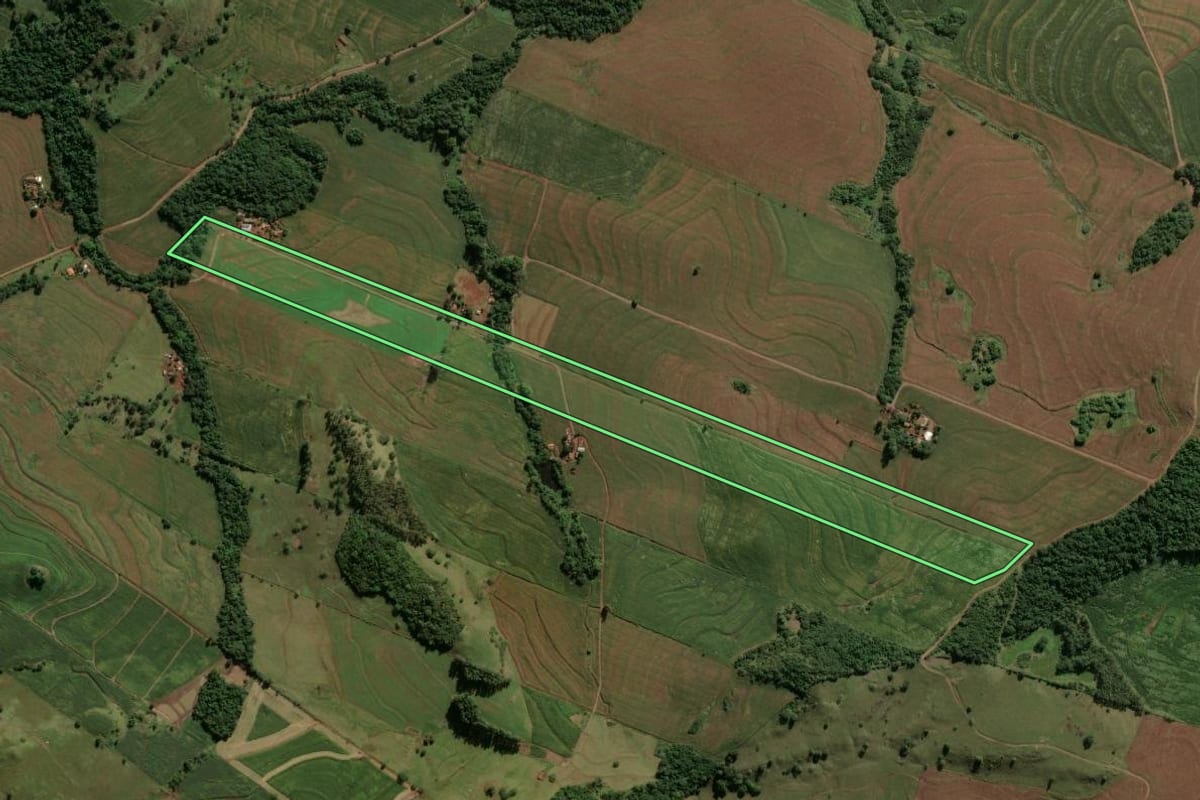 Imagem de satélite do imóvel rural em Barbosa Ferraz (PR), com o contorno declarado no CAR desenhado por cima.
