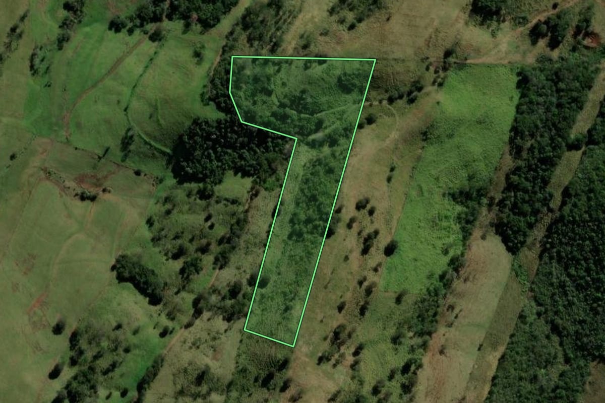 Imagem de satélite do imóvel rural em Barbosa Ferraz (PR), com o contorno declarado no CAR desenhado por cima.