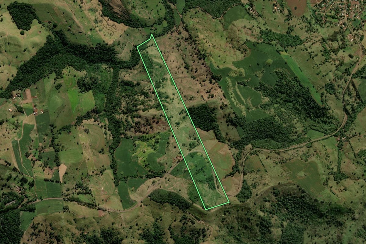 Imagem de satélite do imóvel rural em Barbosa Ferraz (PR), com o contorno declarado no CAR desenhado por cima.
