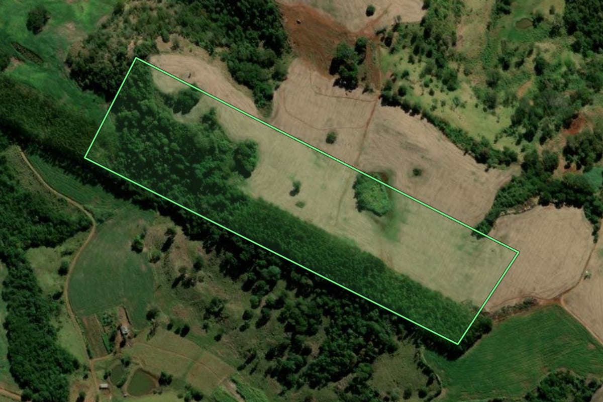 Imagem de satélite do imóvel rural em Barbosa Ferraz (PR), com o contorno declarado no CAR desenhado por cima.