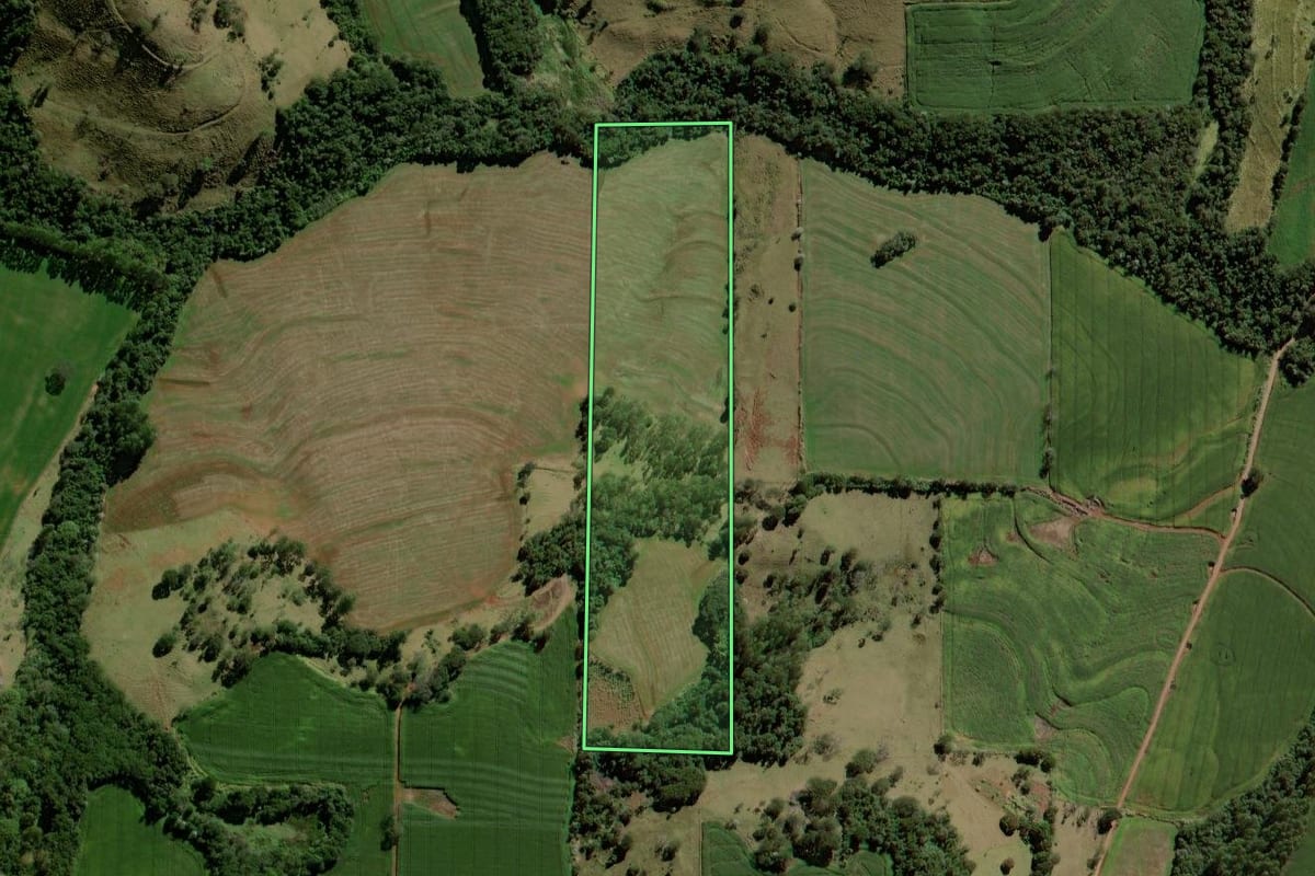 Imagem de satélite do imóvel rural em Barbosa Ferraz (PR), com o contorno declarado no CAR desenhado por cima.