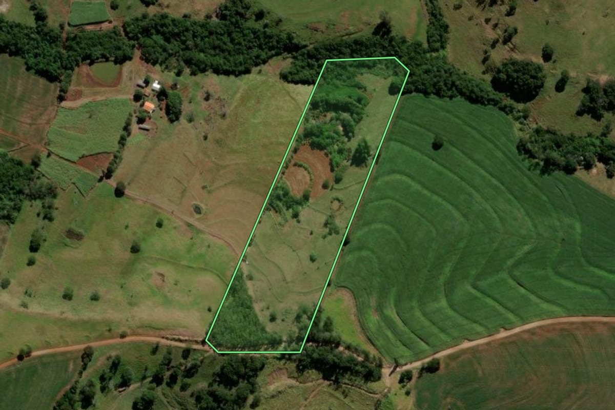 Imagem de satélite do imóvel rural em Barbosa Ferraz (PR), com o contorno declarado no CAR desenhado por cima.