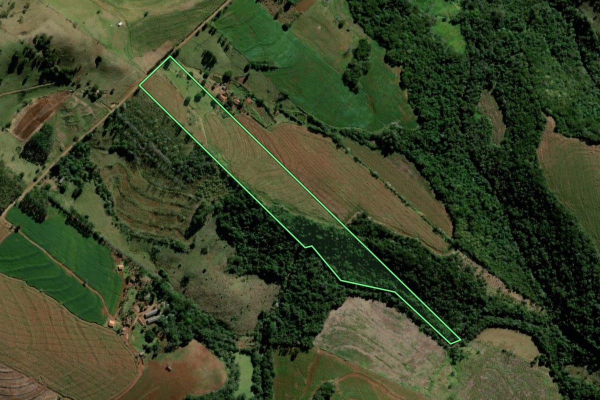 Imagem de satélite do imóvel rural em Barbosa Ferraz (PR), com o contorno declarado no CAR desenhado por cima.