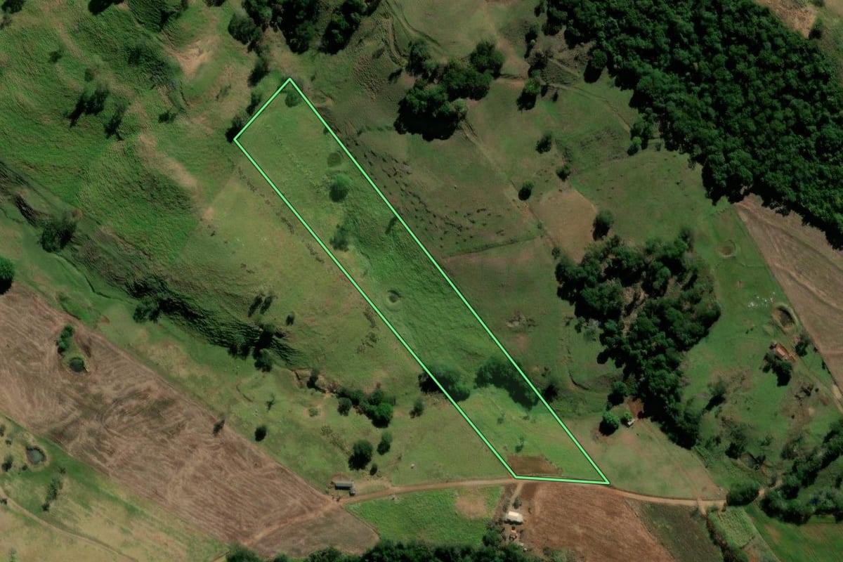Imagem de satélite do imóvel rural em Barbosa Ferraz (PR), com o contorno declarado no CAR desenhado por cima.