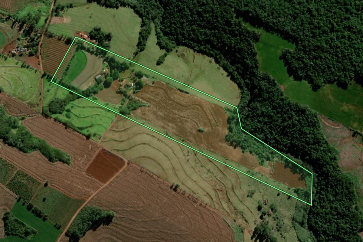 Imagem de satélite do imóvel rural em Barbosa Ferraz (PR), com o contorno declarado no CAR desenhado por cima.