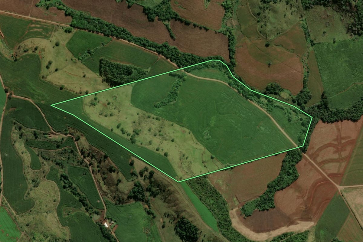 Imagem de satélite do imóvel rural em Barbosa Ferraz (PR), com o contorno declarado no CAR desenhado por cima.