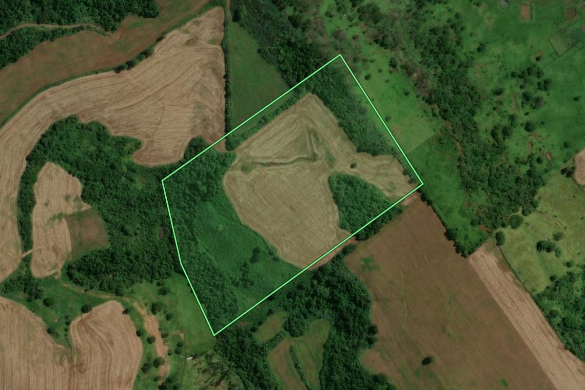 Imagem de satélite do imóvel rural em Barbosa Ferraz (PR), com o contorno declarado no CAR desenhado por cima.