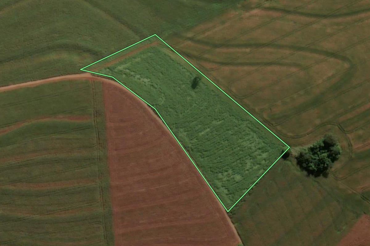 Imagem de satélite do imóvel rural em Barbosa Ferraz (PR), com o contorno declarado no CAR desenhado por cima.