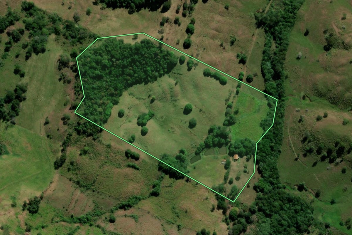 Imagem de satélite do imóvel rural em Barbosa Ferraz (PR), com o contorno declarado no CAR desenhado por cima.