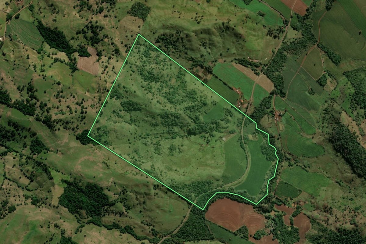 Imagem de satélite do imóvel rural em Barbosa Ferraz (PR), com o contorno declarado no CAR desenhado por cima.
