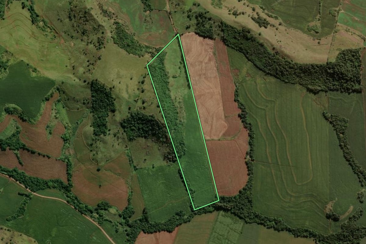 Imagem de satélite do imóvel rural em Barbosa Ferraz (PR), com o contorno declarado no CAR desenhado por cima.