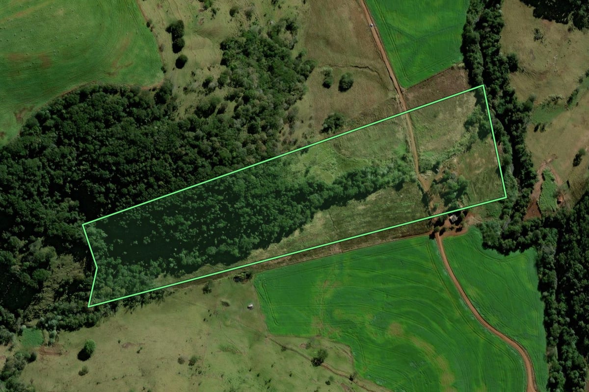 Imagem de satélite do imóvel rural em Barbosa Ferraz (PR), com o contorno declarado no CAR desenhado por cima.