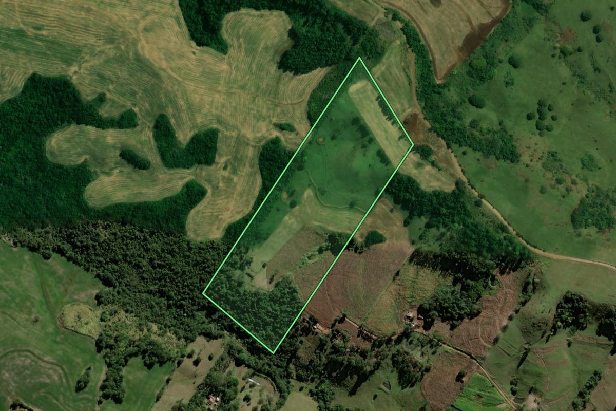 Imagem de satélite do imóvel rural em Barbosa Ferraz (PR), com o contorno declarado no CAR desenhado por cima.