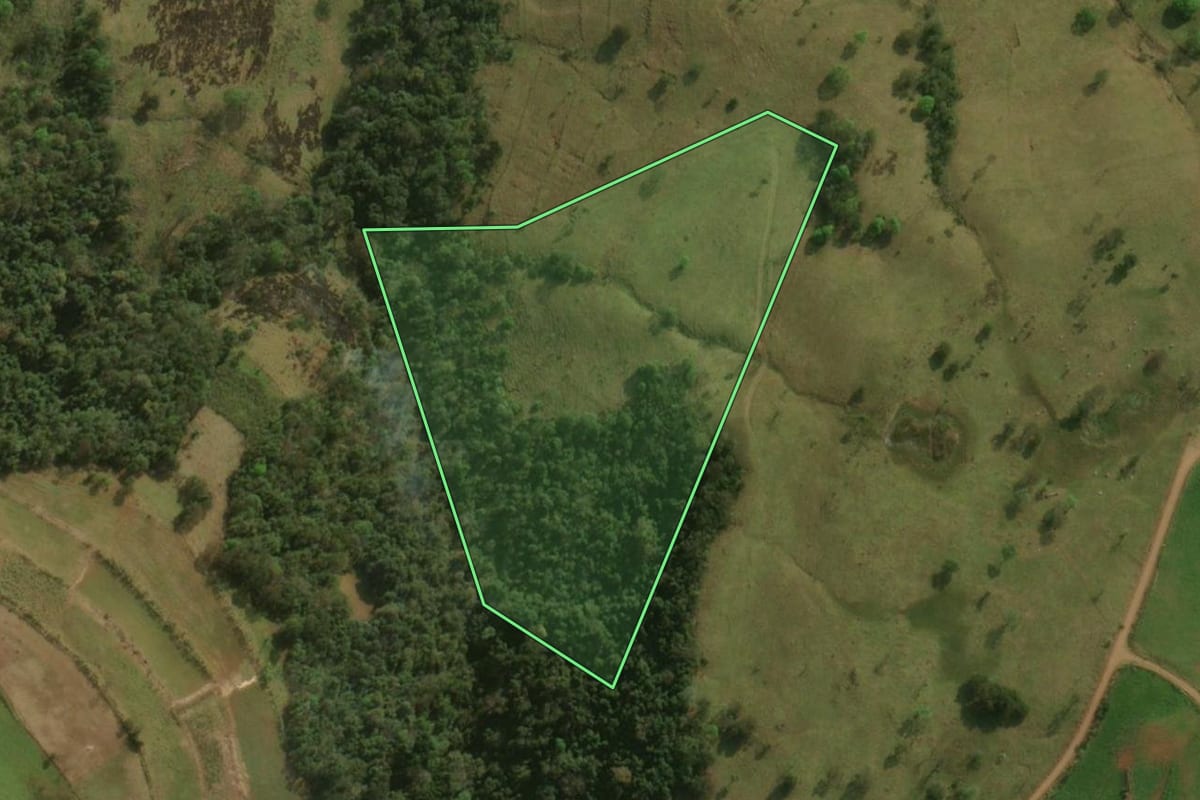Imagem de satélite do imóvel rural em Barracão (PR), com o contorno declarado no CAR desenhado por cima.