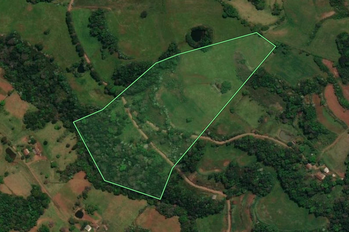 Imagem de satélite do imóvel rural em Barracão (PR), com o contorno declarado no CAR desenhado por cima.