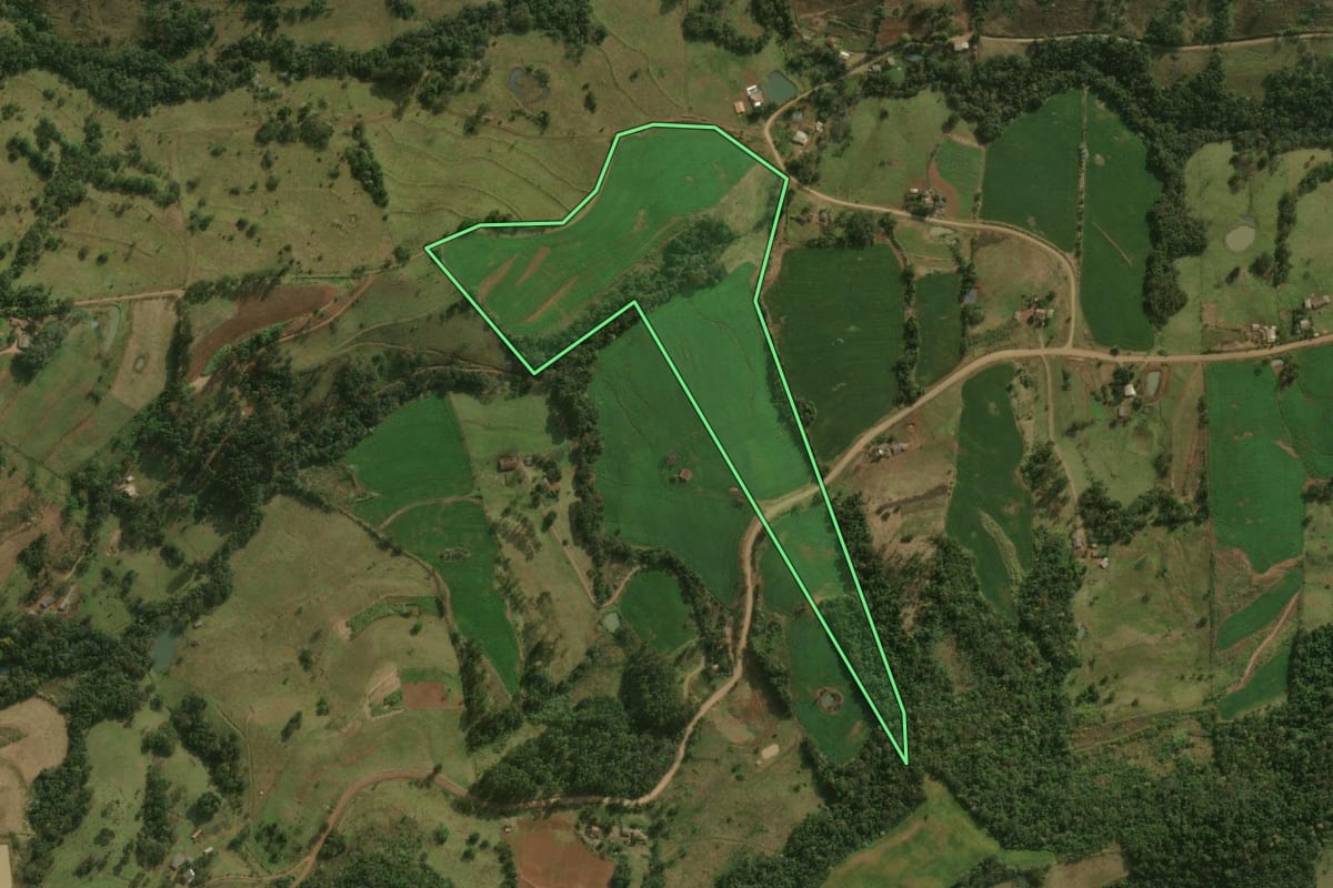 Imagem de satélite do imóvel rural em Barracão (PR), com o contorno declarado no CAR desenhado por cima.