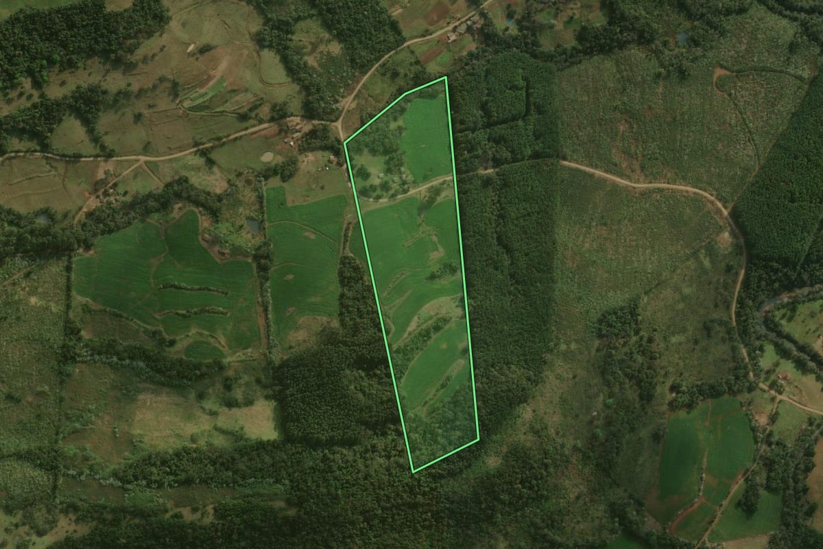 Imagem de satélite do imóvel rural em Barracão (PR), com o contorno declarado no CAR desenhado por cima.