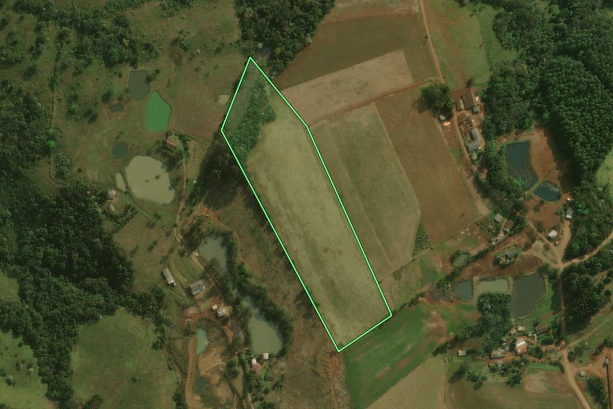 Imagem de satélite do imóvel rural em Barracão (PR), com o contorno declarado no CAR desenhado por cima.