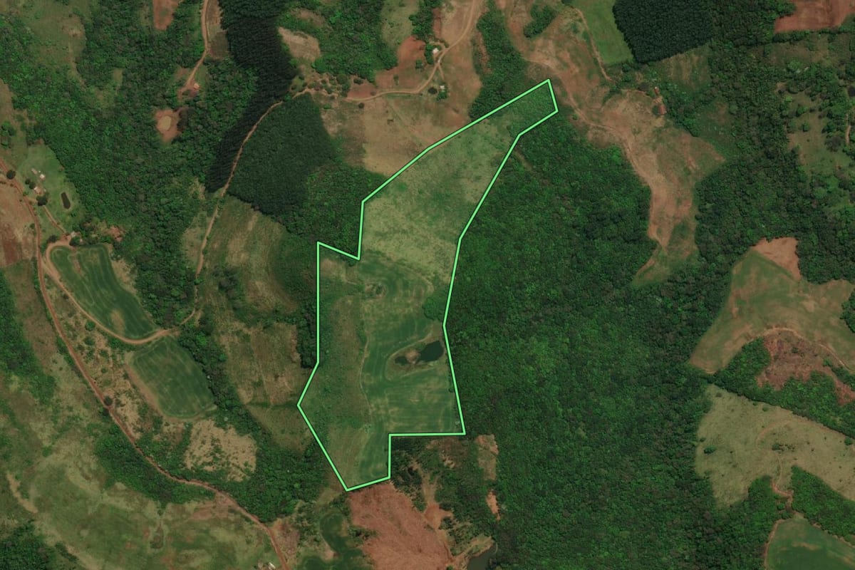 Imagem de satélite do imóvel rural em Barracão (PR), com o contorno declarado no CAR desenhado por cima.