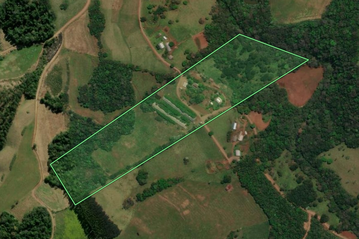 Imagem de satélite do imóvel rural em Barracão (PR), com o contorno declarado no CAR desenhado por cima.