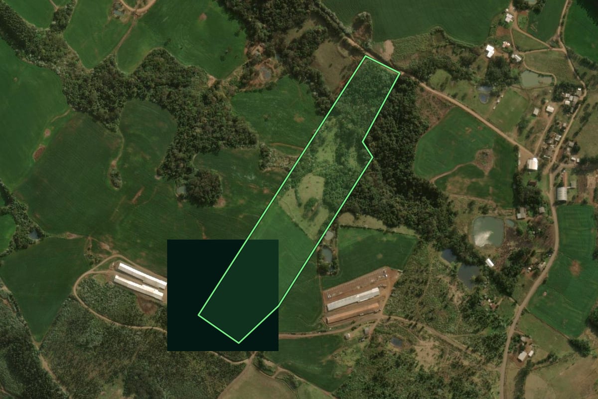 Imagem de satélite do imóvel rural em Barracão (PR), com o contorno declarado no CAR desenhado por cima.
