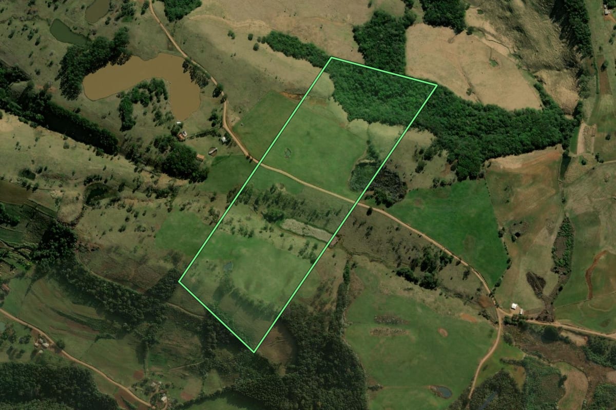 Imagem de satélite do imóvel rural em Barracão (PR), com o contorno declarado no CAR desenhado por cima.