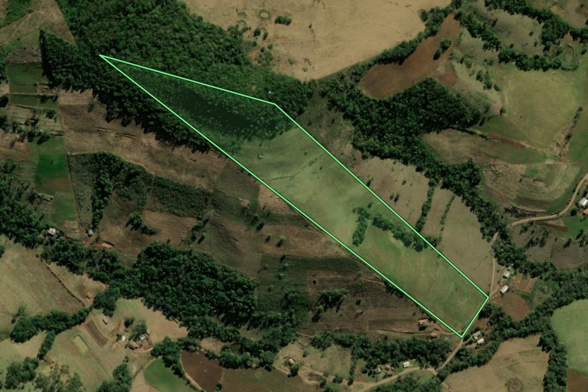 Imagem de satélite do imóvel rural em Barracão (PR), com o contorno declarado no CAR desenhado por cima.