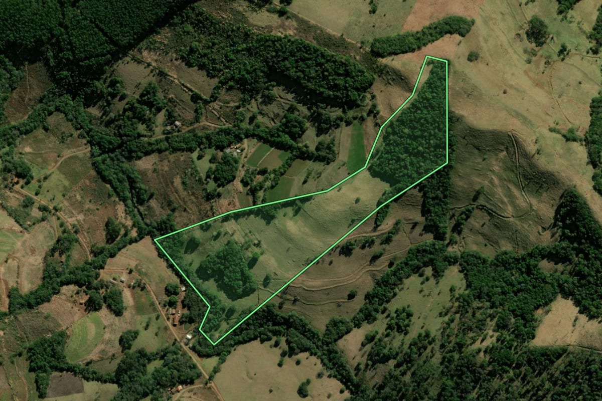 Imagem de satélite do imóvel rural em Barracão (PR), com o contorno declarado no CAR desenhado por cima.