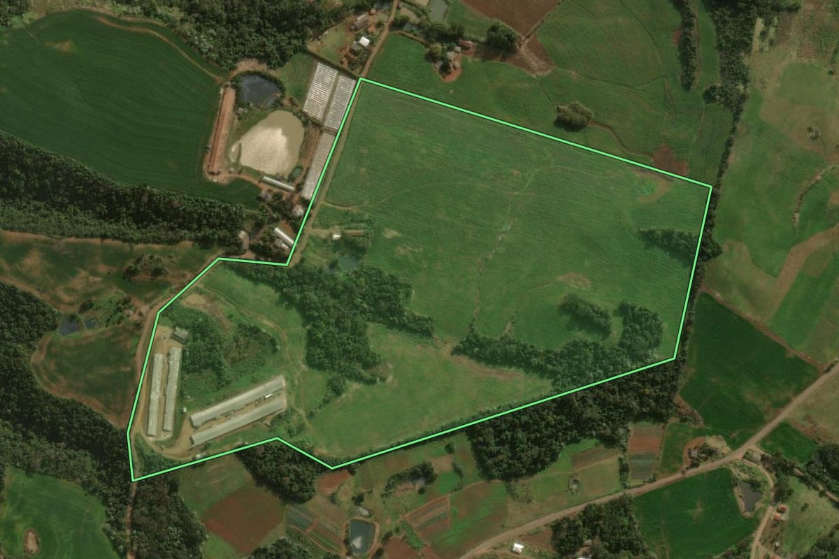 Imagem de satélite do imóvel rural em Barracão (PR), com o contorno declarado no CAR desenhado por cima.