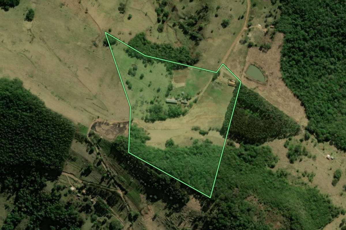 Imagem de satélite do imóvel rural em Barracão (PR), com o contorno declarado no CAR desenhado por cima.