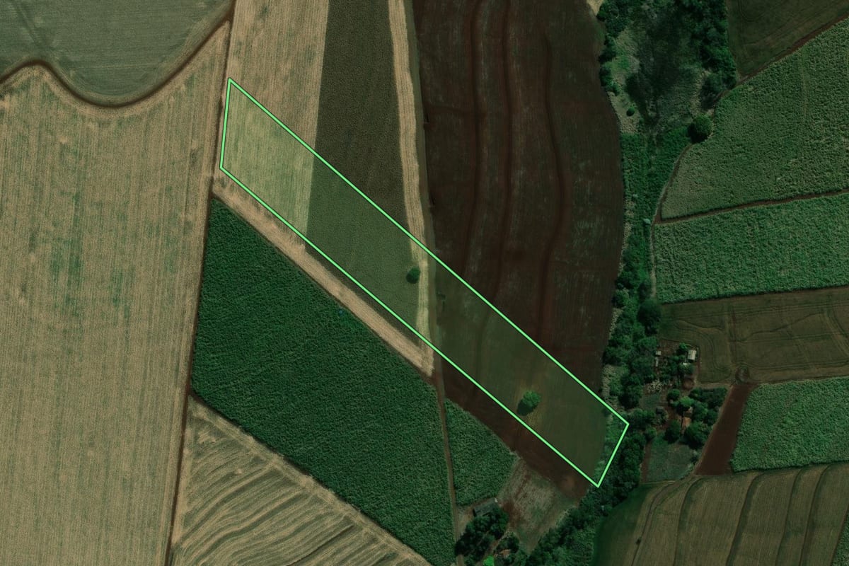 Imagem de satélite do imóvel rural em Barra do Jacaré (PR), com o contorno declarado no CAR desenhado por cima.