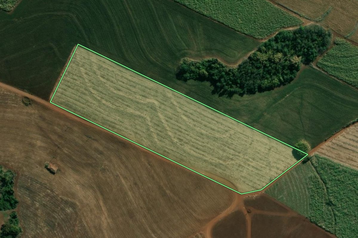 Imagem de satélite do imóvel rural em Barra do Jacaré (PR), com o contorno declarado no CAR desenhado por cima.