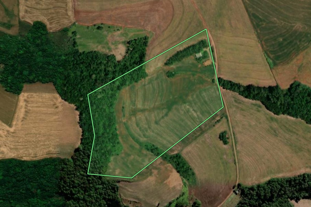 Imagem de satélite do imóvel rural em Bela Vista da Caroba (PR), com o contorno declarado no CAR desenhado por cima.