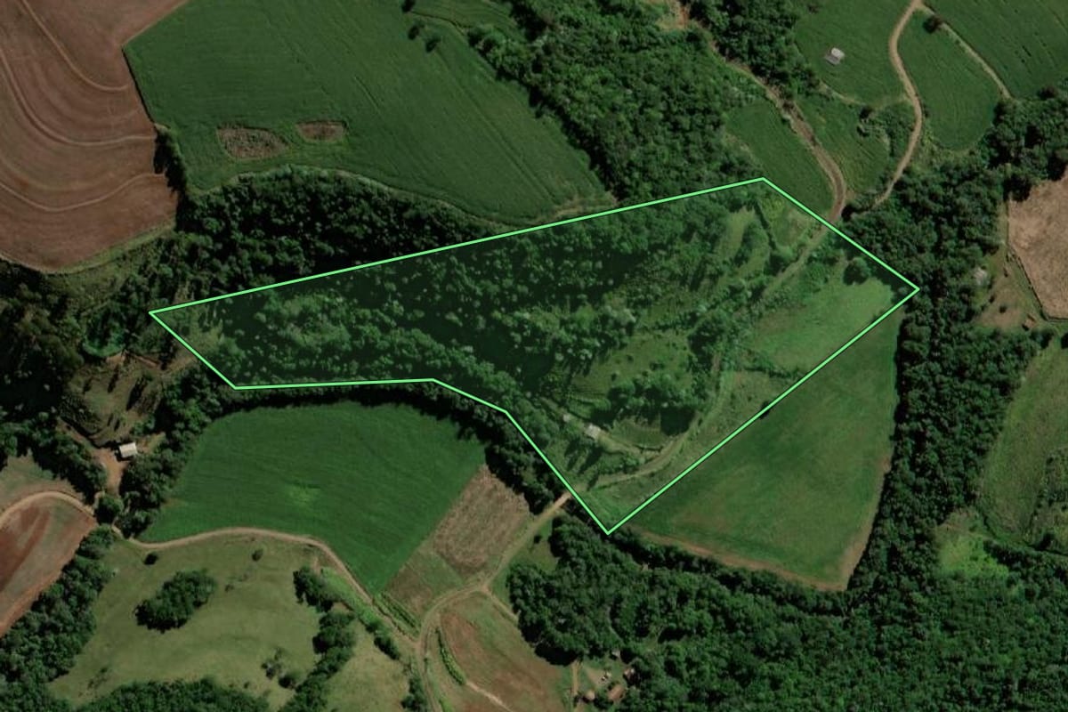 Imagem de satélite do imóvel rural em Bela Vista da Caroba (PR), com o contorno declarado no CAR desenhado por cima.