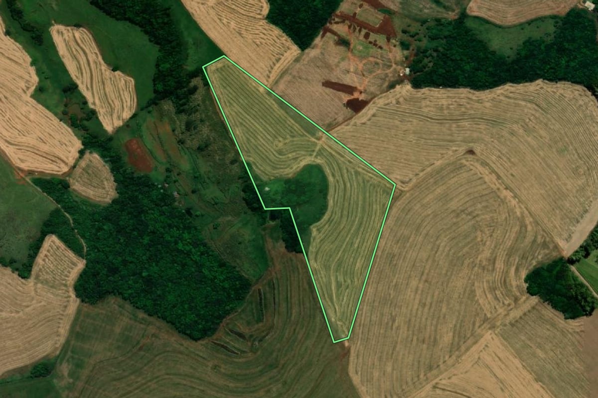 Imagem de satélite do imóvel rural em Bela Vista da Caroba (PR), com o contorno declarado no CAR desenhado por cima.