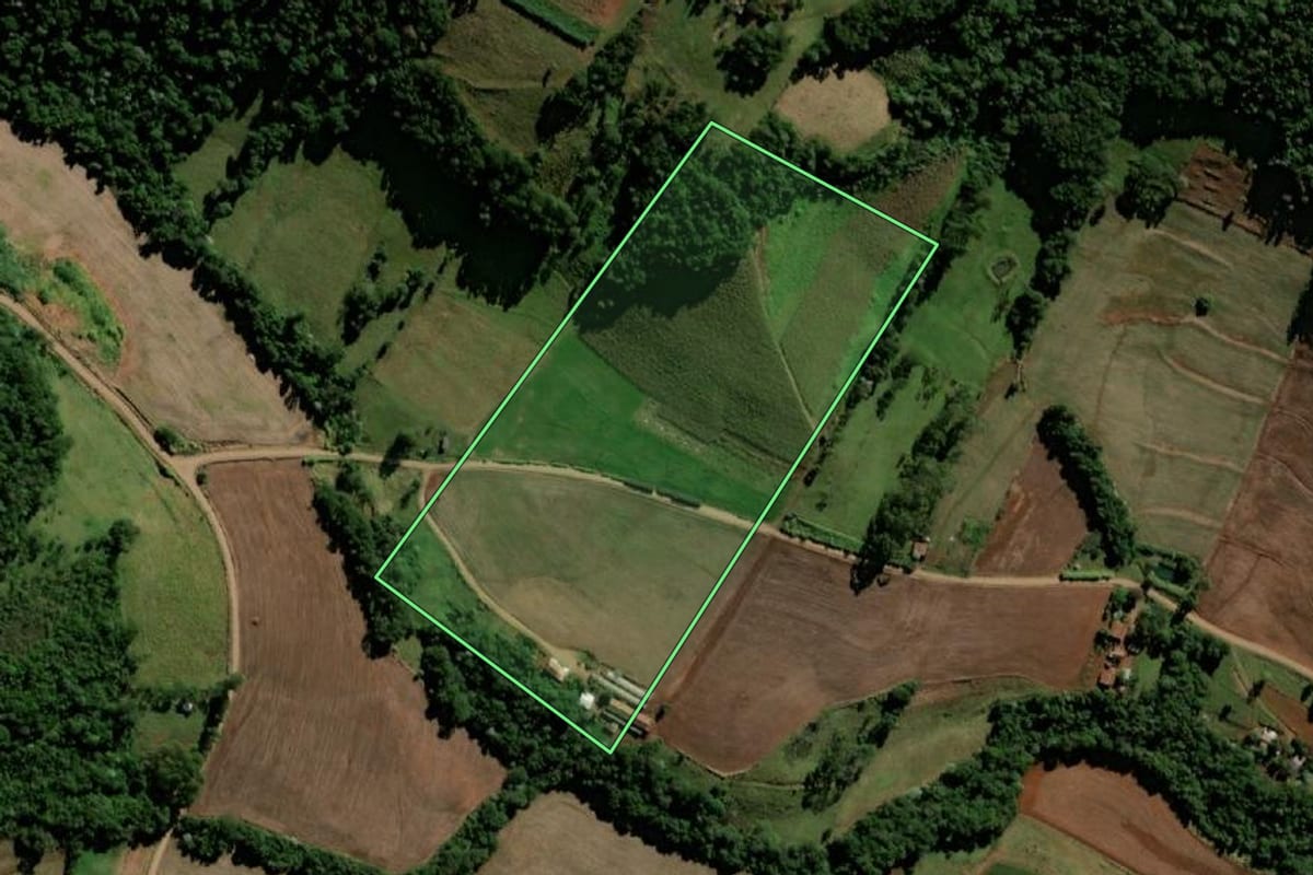 Imagem de satélite do imóvel rural em Bela Vista da Caroba (PR), com o contorno declarado no CAR desenhado por cima.